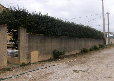 Traitement anti-mousse-hydrofuge sur Landivisiau
