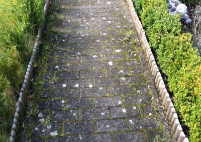 Traitement anti-mousse-hydrofuge sur Landivisiau